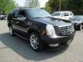 2012 Black Raven Cadillac Escalade Luxury AWD  photo #12