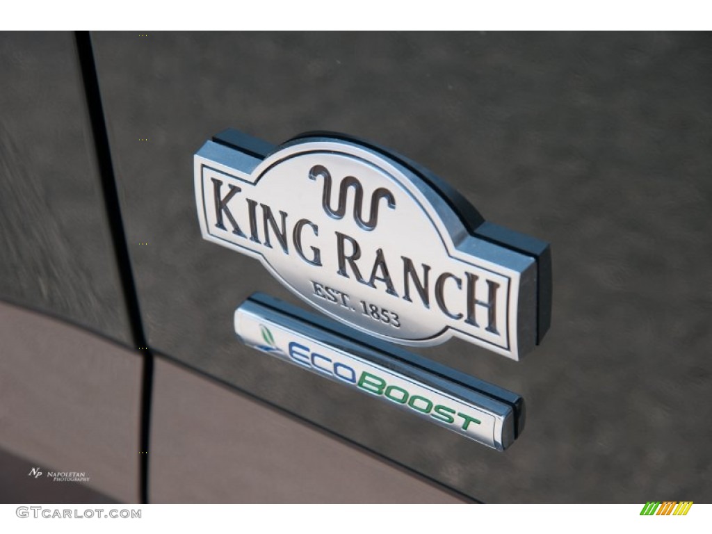 2015 F150 King Ranch SuperCrew 4x4 - Green Gem Metallic / King Ranch Java/Mesa photo #18