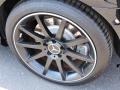 2012 Mercedes-Benz SLK 55 AMG Roadster Wheel and Tire Photo