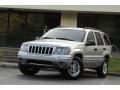 Bright Silver Metallic - Grand Cherokee Laredo Photo No. 24