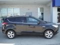 2013 Tuxedo Black Metallic Ford Escape SE 2.0L EcoBoost 4WD  photo #2