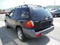 2004 Black Obsidian Hyundai Santa Fe LX 4WD  photo #7