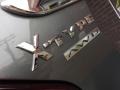 Quartz Metallic - X-Type 3.0 Photo No. 27