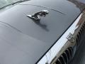 Quartz Metallic - X-Type 3.0 Photo No. 50