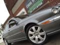 Quartz Metallic - X-Type 3.0 Photo No. 141