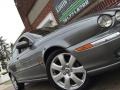 Quartz Metallic - X-Type 3.0 Photo No. 142