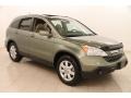 Green Tea Metallic 2009 Honda CR-V EX-L 4WD