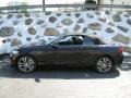 Jet Black - 2 Series 228i xDrive Convertible Photo No. 11