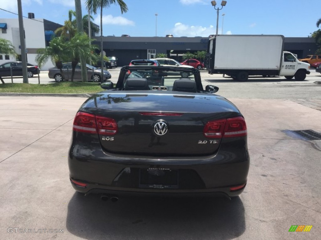 2015 Eos Final Edition - Black Oak Brown Metallic / Cornsilk Beige/Titan Black photo #4