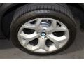Platinum Gray Metallic - X5 xDrive35d Photo No. 21
