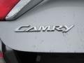 Celestial Silver Metallic - Camry LE Photo No. 13