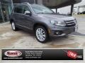Pepper Gray Metallic - Tiguan SE Photo No. 1