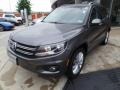 Pepper Gray Metallic - Tiguan SE Photo No. 3