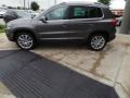 Pepper Gray Metallic - Tiguan SE Photo No. 4