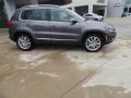 Pepper Gray Metallic - Tiguan SE Photo No. 8