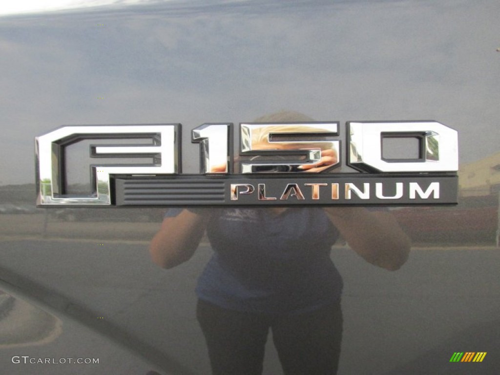 2015 F150 Platinum SuperCrew 4x4 - Magnetic Metallic / Platinum Black photo #13