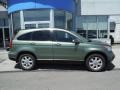 2008 Green Tea Metallic Honda CR-V EX-L 4WD  photo #2