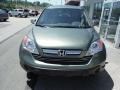 2008 Green Tea Metallic Honda CR-V EX-L 4WD  photo #5