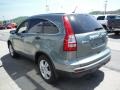 Opal Sage Metallic - CR-V EX 4WD Photo No. 8