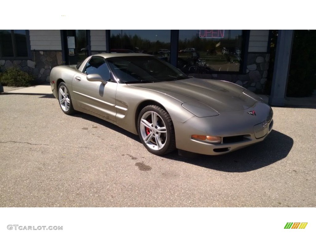 2000 Corvette Coupe - Light Pewter Metallic / Black photo #1