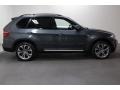 2012 Platinum Gray Metallic BMW X5 xDrive50i  photo #2