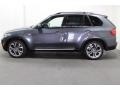 2012 Platinum Gray Metallic BMW X5 xDrive50i  photo #6