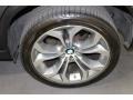 2012 Platinum Gray Metallic BMW X5 xDrive50i  photo #21
