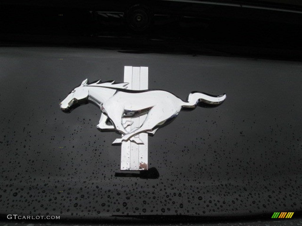 2015 Mustang V6 Coupe - Magnetic Metallic / Ebony photo #12