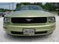 Legend Lime Metallic 2005 Ford Mustang V6 Deluxe Coupe