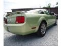 2005 Legend Lime Metallic Ford Mustang V6 Deluxe Coupe  photo #5