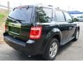 Ebony Black - Escape Limited 4WD Photo No. 6