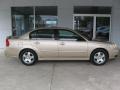 Light Driftwood Metallic - Malibu LT V6 Sedan Photo No. 2