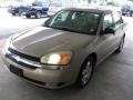 Light Driftwood Metallic - Malibu LT V6 Sedan Photo No. 23