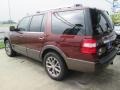 Bronze Fire Metallic - Expedition King Ranch Photo No. 13