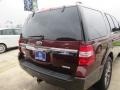 Bronze Fire Metallic - Expedition King Ranch Photo No. 15
