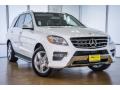 Polar White - ML 350 Photo No. 12