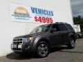 Sterling Gray Metallic 2012 Ford Escape Limited 4WD