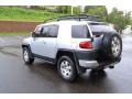 Titanium Metallic - FJ Cruiser 4WD Photo No. 3