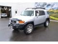 Titanium Metallic - FJ Cruiser 4WD Photo No. 4