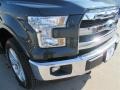 Guard Metallic - F150 Lariat SuperCrew 4x4 Photo No. 5