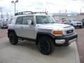 Titanium Metallic - FJ Cruiser 4WD Photo No. 7