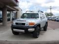 Titanium Metallic - FJ Cruiser 4WD Photo No. 19