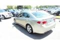Palladium Metallic - TSX Sedan Photo No. 7