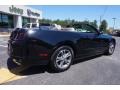 Black - Mustang V6 Premium Convertible Photo No. 7