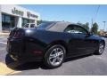 Black - Mustang V6 Premium Convertible Photo No. 16
