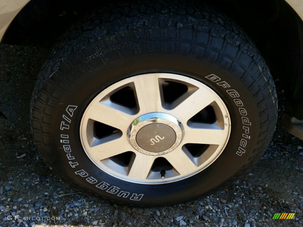 2005 F150 King Ranch SuperCrew 4x4 - Dark Copper Metallic / Castano Brown Leather photo #31