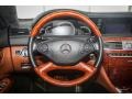 2011 Mercedes-Benz CL designo Saddle Brown Interior Steering Wheel Photo