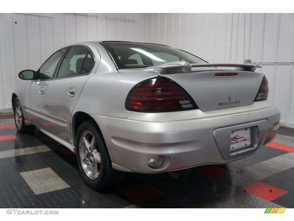 2004 Grand Am SE Sedan - Galaxy Silver Metallic / Dark Pewter photo #10