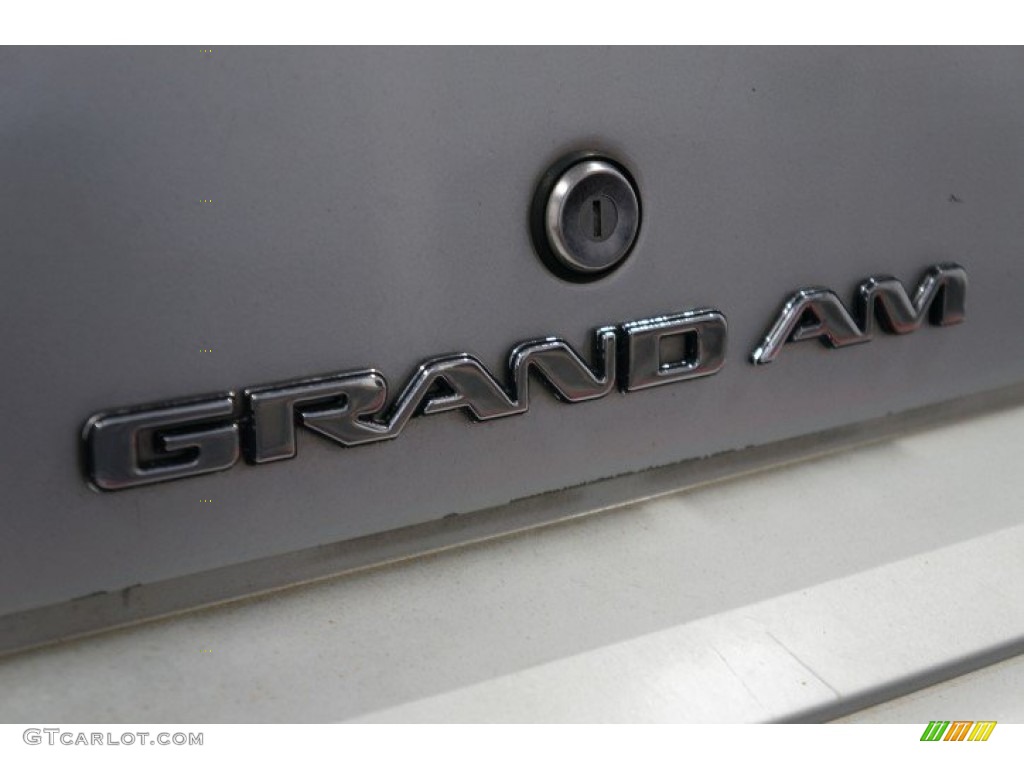 2004 Grand Am SE Sedan - Galaxy Silver Metallic / Dark Pewter photo #69