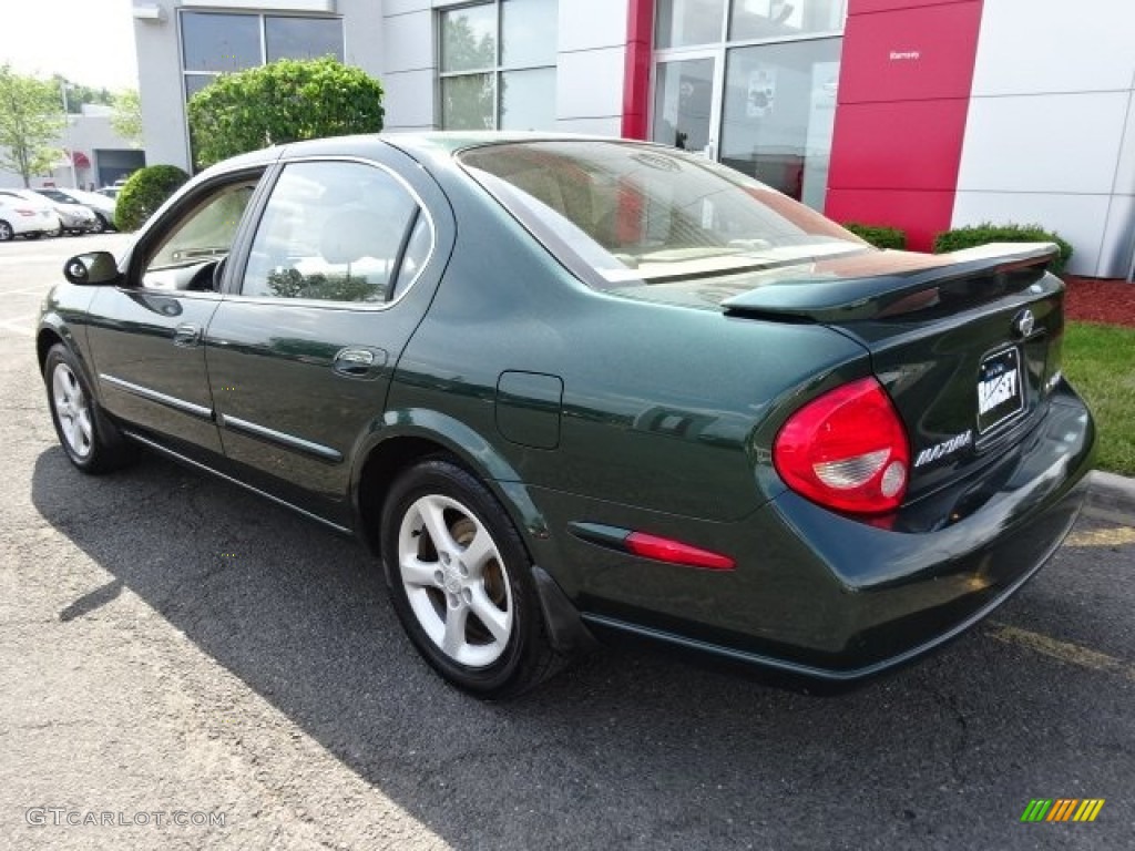 2001 Maxima GLE - Sherwood Green Metallic / Blond photo #7